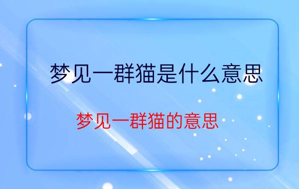 梦见一群猫是什么意思 梦见一群猫的意思